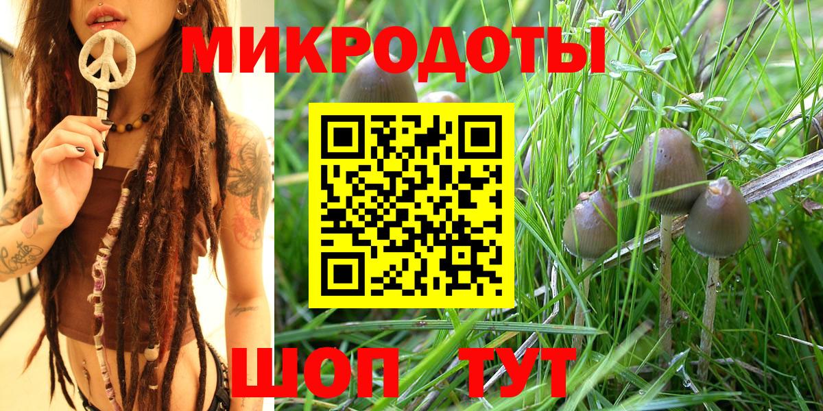 Лянтор  закладка  Вход с VPN  Галлюциногенные грибы MAGIC MUSHROOMS  Псилоцибиновые грибы мухоморы 